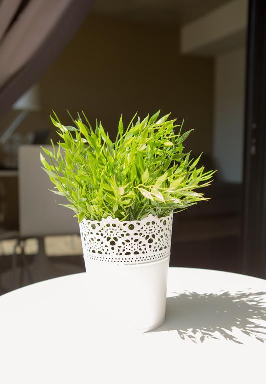 Aveiro Urban Flatアパートメント 部屋 写真